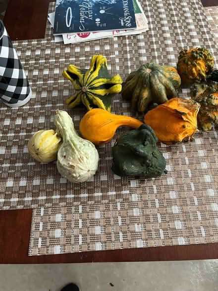 Photo of free Decorative gourds (Midtown Newport News) #1