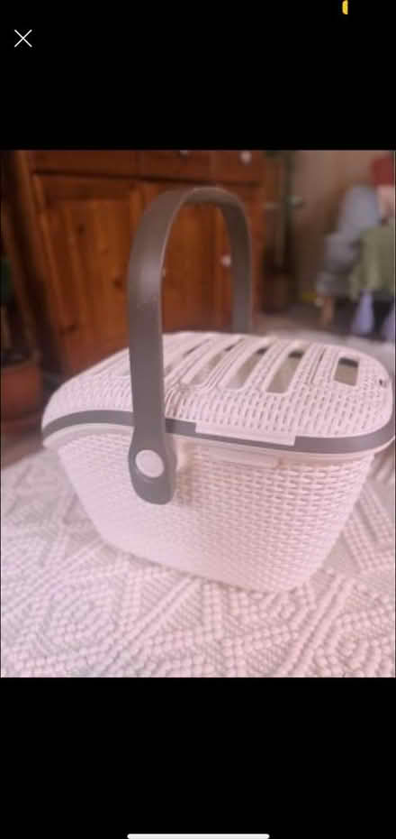 Photo of free Pet carrier basket (Newney green CM1) #1