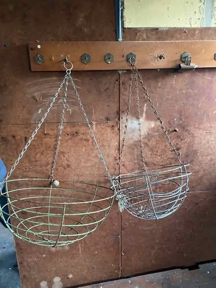 Photo of free Hanging baskets (WR13) #1