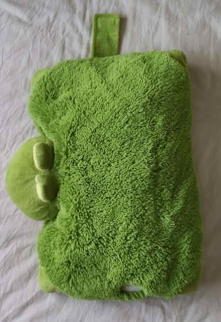 Photo of free Children's frog shaped pillow (Weeping Cross ST17) #1