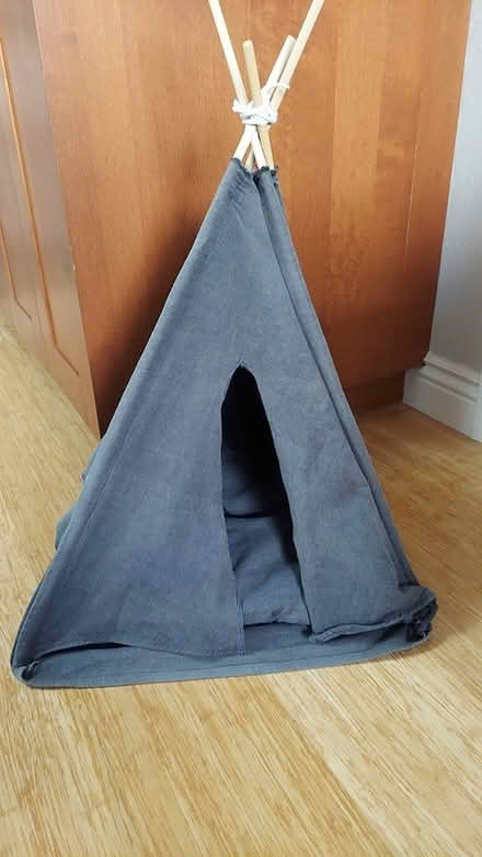 Photo of free Cat/Dog Teepee (West San Jose) #1