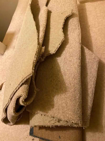 Photo of free Carpet offcuts (Summertown OX2) #1