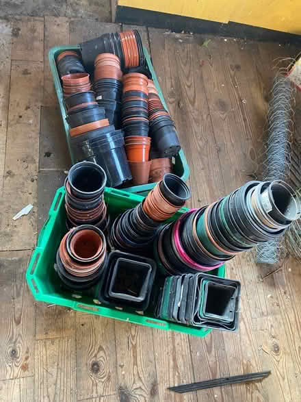 Photo of free Assorted plant pots (WR13) #2