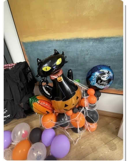 Photo of free Black cat decoration balloons (EN5) #1