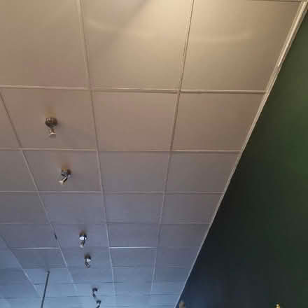 Photo of free Ceiling tiles (Kendal LA9) #1