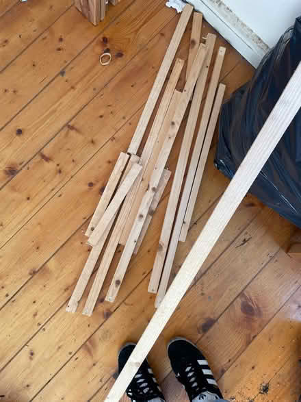 Photo of free assorted length batons (Grove Park SE12) #1