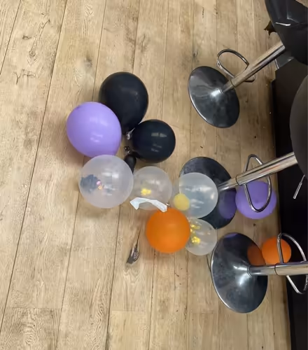Photo of free Black cat decoration balloons (EN5) #2