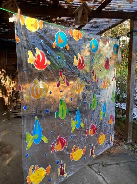 Photo of free Jolly shower curtain (Shipley BD18) #1