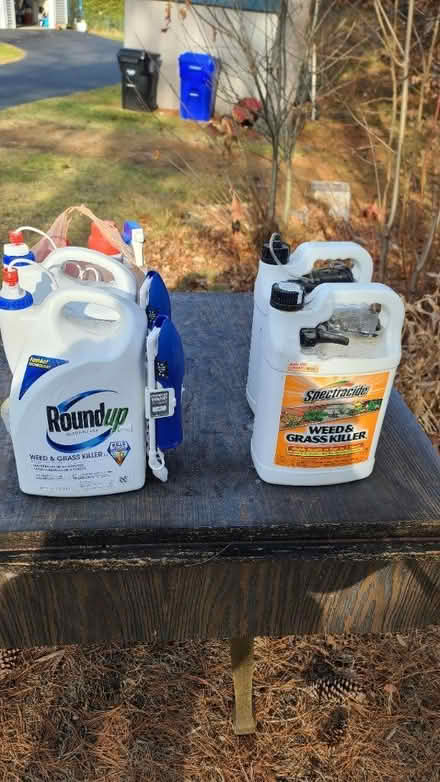 Photo of free Miscellaneous Items (Shirley) #1