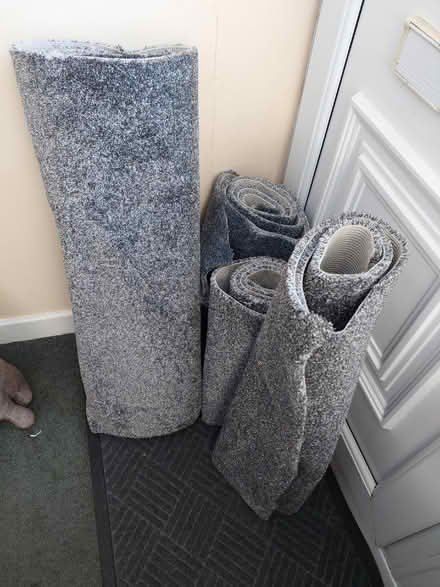 Photo of free Carpet off cuts (Gorsedd CH8) #1