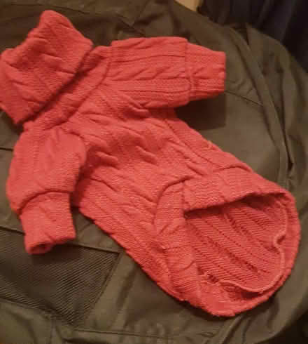 Photo of free Pet Jumperĺ (Acton) #2