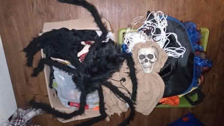 Photo of free Box of Halloween things (Coventry Tile Hill CV4) #1