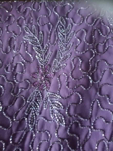 Photo of free Beaded party dress, size 12 (Devon Park) #2
