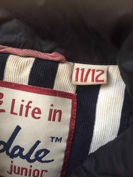 Photo of free Gilets 2 and leggings (Eastbourne BN22) #1