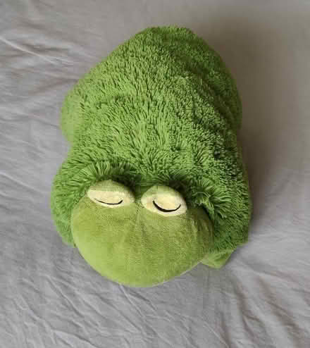 Photo of free Children's frog shaped pillow (Weeping Cross ST17) #2