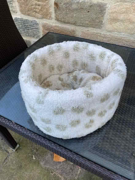 Photo of free Cat bed - circular (Harrogate HG2) #2