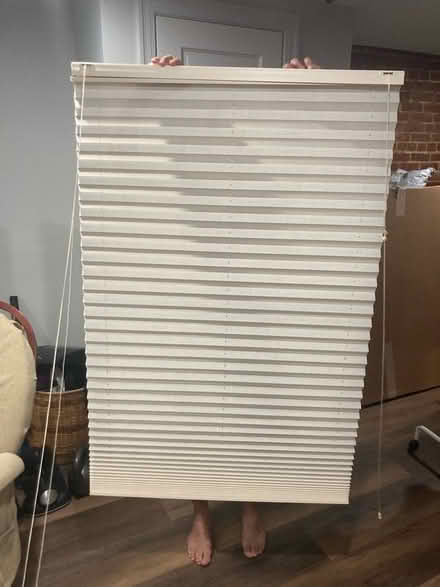 Photo of free Top down/bottom up blinds (Petworth/Columbia Heights) #2