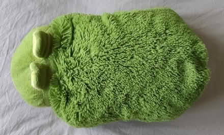 Photo of free Children's frog shaped pillow (Weeping Cross ST17) #3