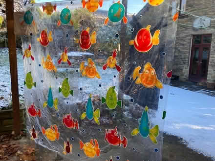 Photo of free Jolly shower curtain (Shipley BD18) #2