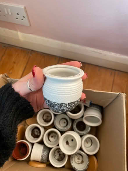 Photo of free box of mini plant pots (Grove Park SE12) #2