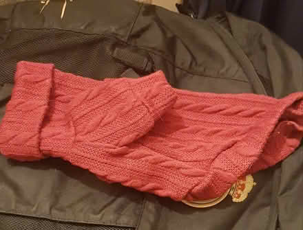 Photo of free Pet Jumperĺ (Acton) #1