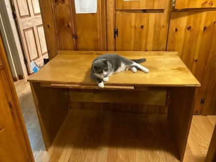 Photo of free Wooden desk (North Waltham) #1