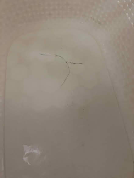 Photo of free Pet carrier basket (Newney green CM1) #3