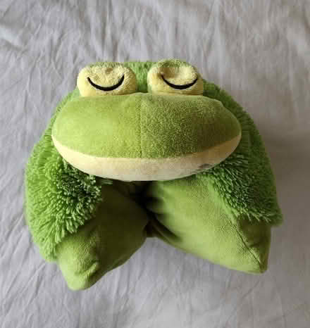 Photo of free Children's frog shaped pillow (Weeping Cross ST17) #4
