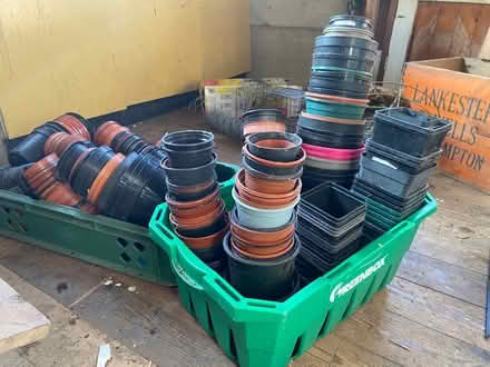 Photo of free Assorted plant pots (WR13) #1