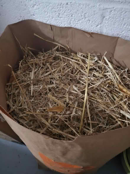 Photo of free 3 bags of straw (Georgetown) #1