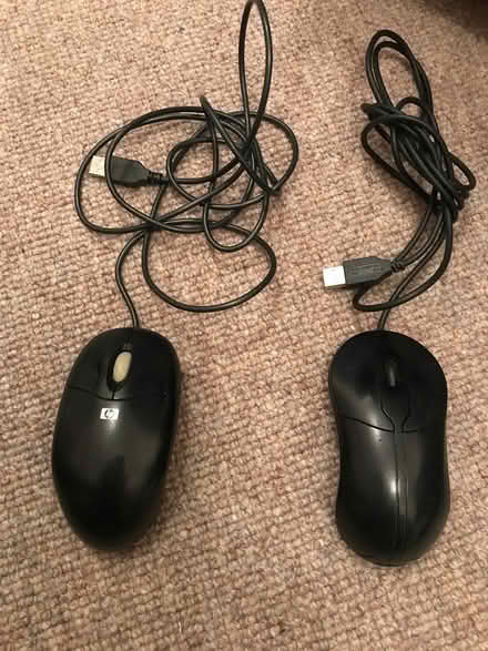 Photo of free Computer mouse x2 (Sidmouth) #1