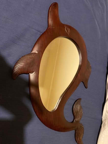 Photo of free Dolphin mirror (Summertown OX2) #1