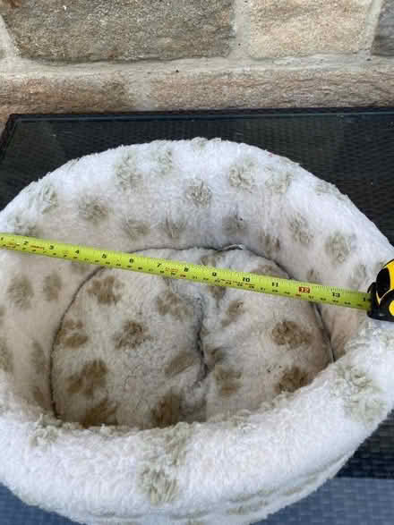 Photo of free Cat bed - circular (Harrogate HG2) #1