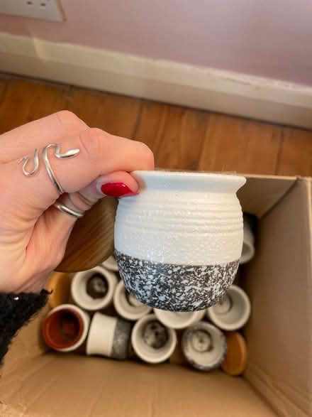 Photo of free box of mini plant pots (Grove Park SE12) #1