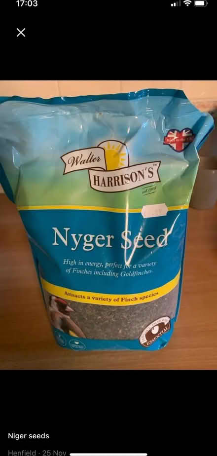 Photo of free nyger seeds (Henfield BN5) #1