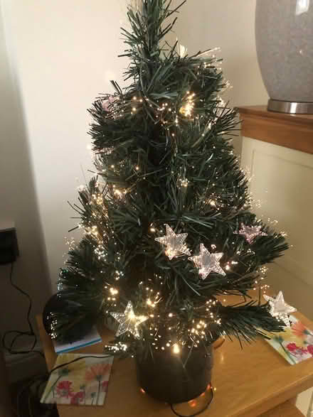 Photo of free 24” fibre optic Christmas Tree (Galleywood CM2) #2