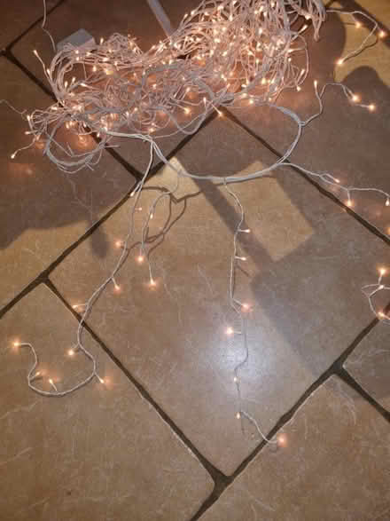 Photo of free Outdoor led lights string (wallingford..wantage road) #1