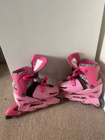 Photo of free Girls Roller blades size 13-4 (Hailsham BN27) #1