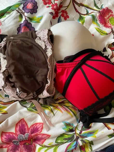 Photo of free Bras and knickers (Hendon, NW4, Brent Street) #1