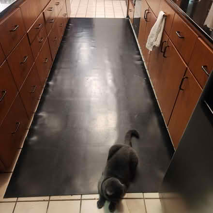 Photo of free Rubber Floor Mat (South Land Park) #1