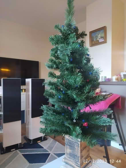 Photo of free Christmas Tree (Wolverham CH65) #1