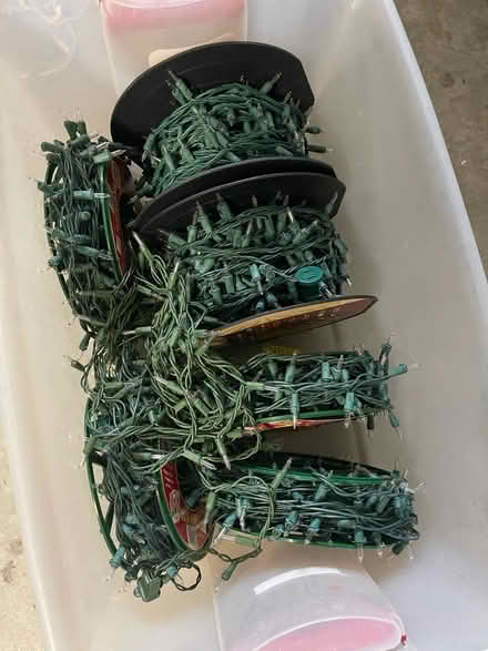 Photo of free Christmas lights (Palm Park) #1