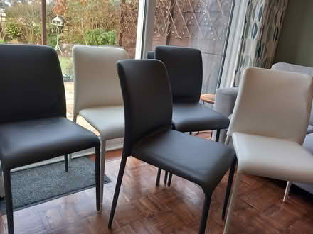 Photo of free 6 chairs (Bexhill) #2