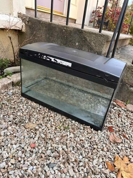 Photo of free Fish tank (Dun Laoghaire) #2