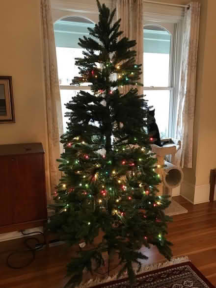 Photo of free Artificial Christmas tree (Guelph (Guelph (downtown)) #3