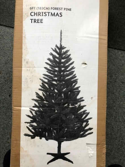 Photo of free Christmas Tree (Halstead CO9) #1
