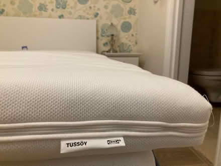 Photo of free King mattress topper (Teddington TW11) #1