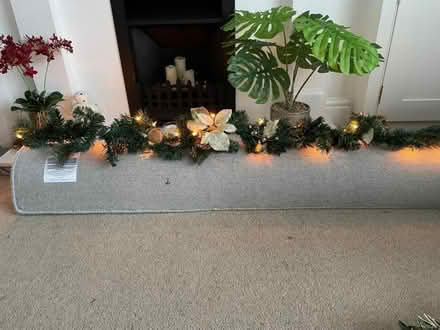 Photo of free Christmas garland with lights. (Warwick CV34) #1