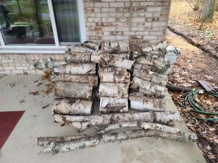 Photo of free Birch Wood (West Bloomfield) #1