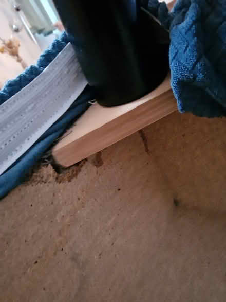 Photo of free Foot stool (Westhampnett) #4